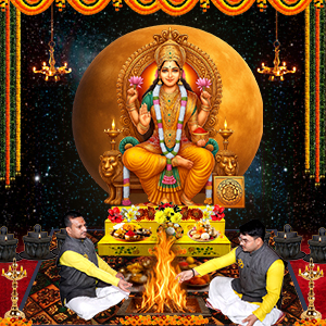 Havan & Abhishek